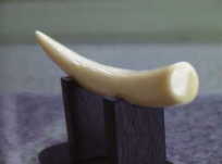 �~�j���ӂ͍��󂵂ĔF��Ƃ��Ďg�p�ł��܂��B