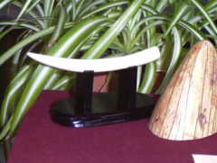 �~�j����